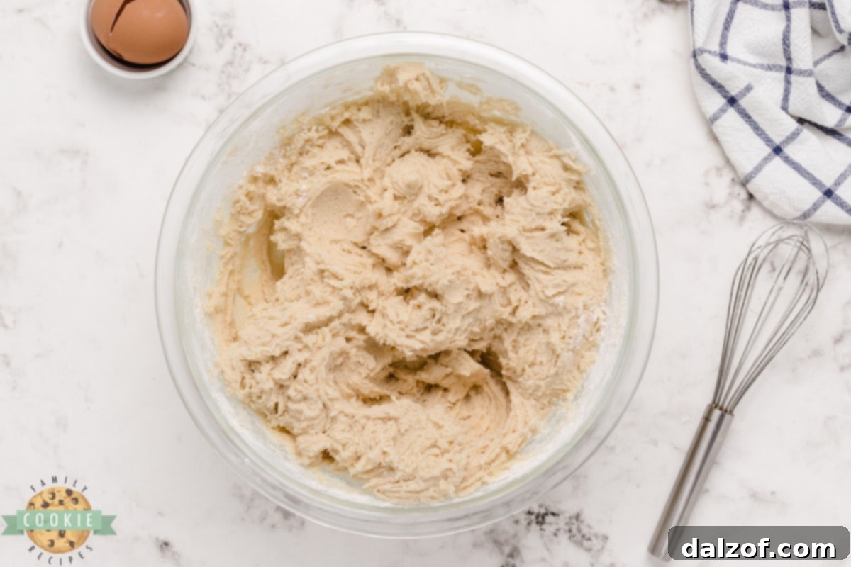 Sugar cookie dough ready to chill.