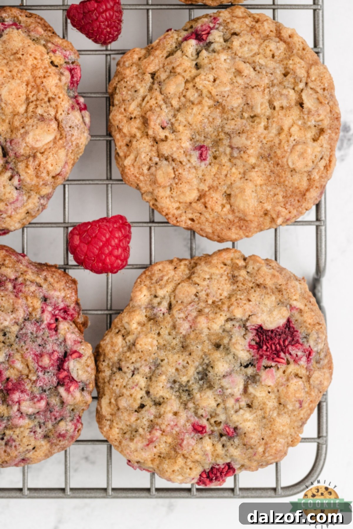 Chewy oatmeal cookie recipe with raspberries. 