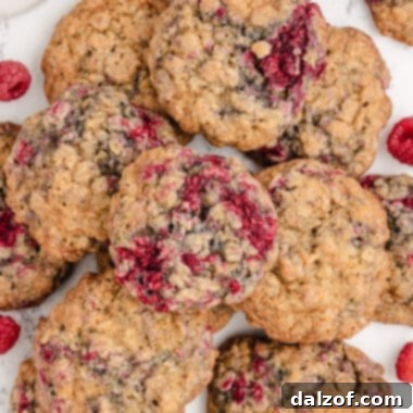 Raspberry Oatmeal Cookies