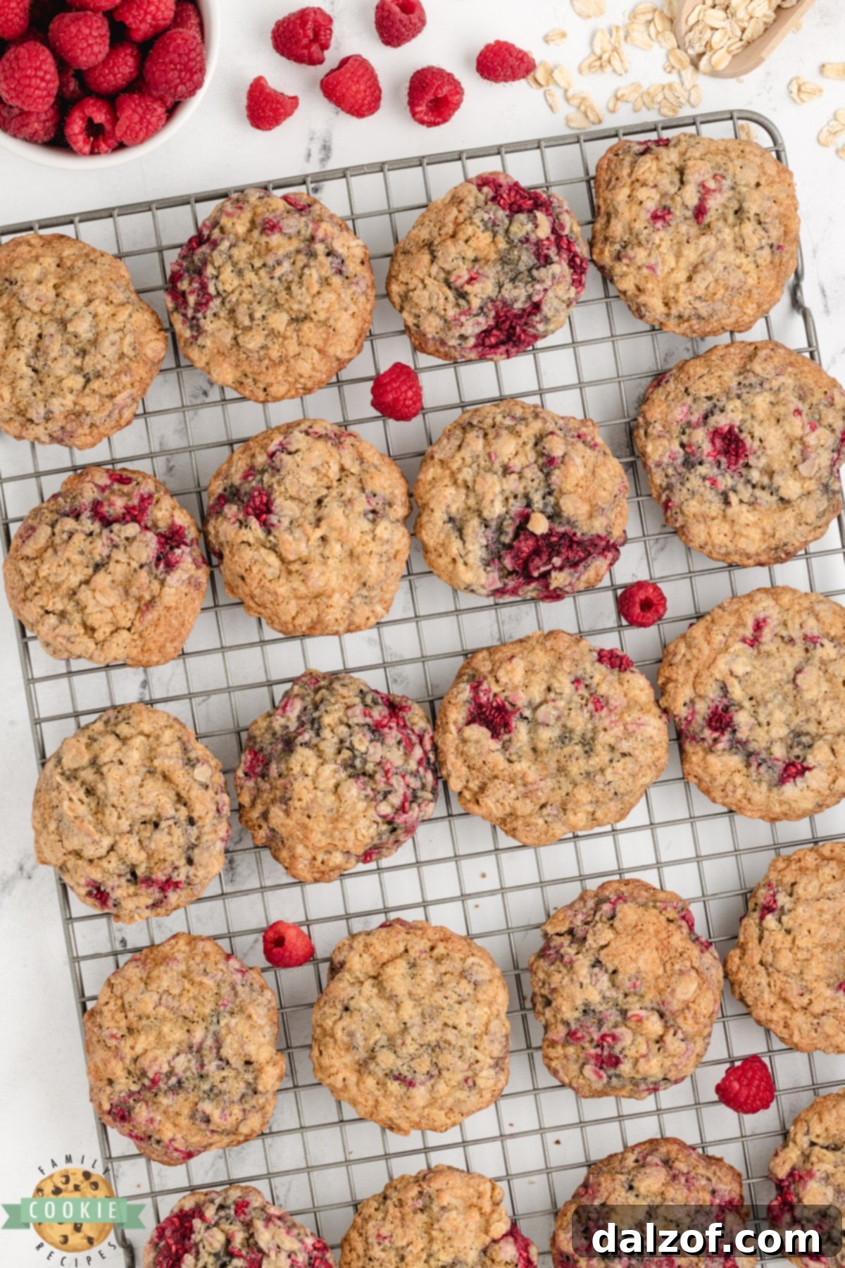 Oatmeal cookies cooling on wire rack. 