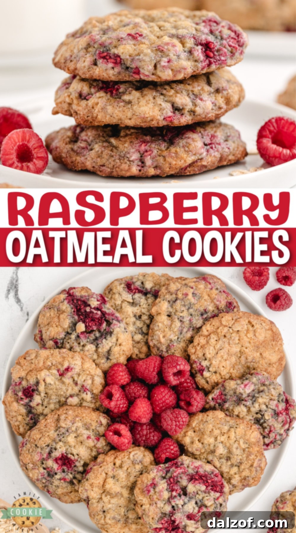 Raspberry Oatmeal Cookies are soft, chewy cookies made with rolled oats and frozen raspberries. Amazing oatmeal cookie recipe with a delicious twist!