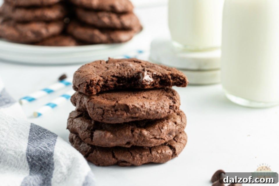 Delicious Double Chocolate Chip Cookies with a gooey center