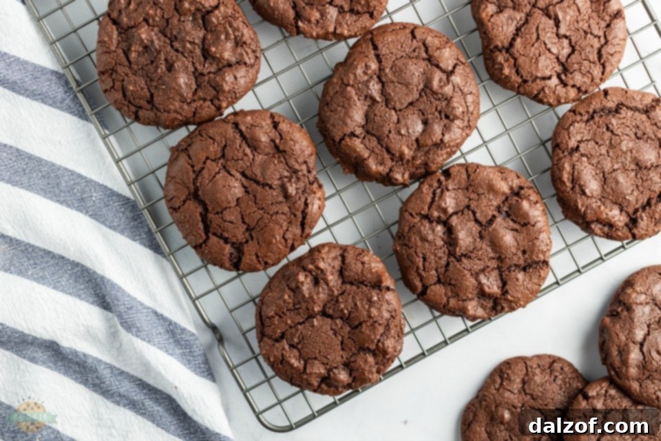 Assortment of chocolate cookies