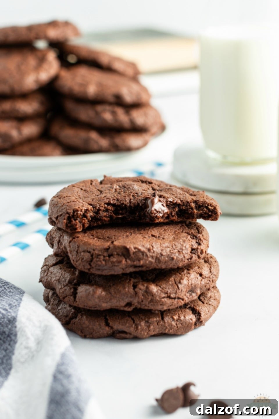 A plate of freshly baked Double Chocolate Chip Cookies
