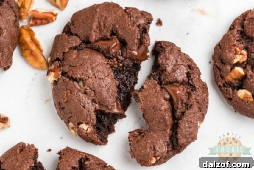 Close-up of freshly baked chocolate cake mix cookies on a wire rack, showcasing their fudgy texture and chocolate chip abundance.