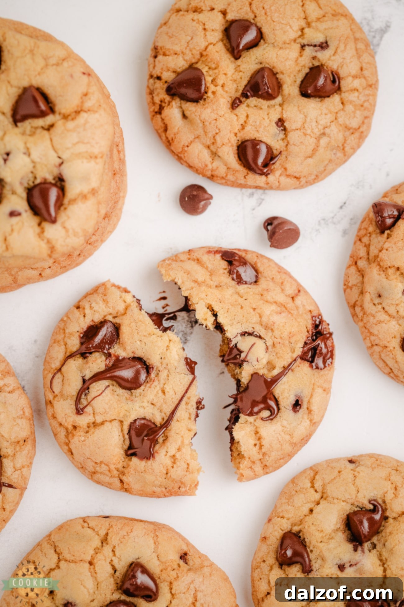 Close-up of a Grand Floridian chocolate chip cookie being broken in half, revealing its soft, chewy interior and molten chocolate chips