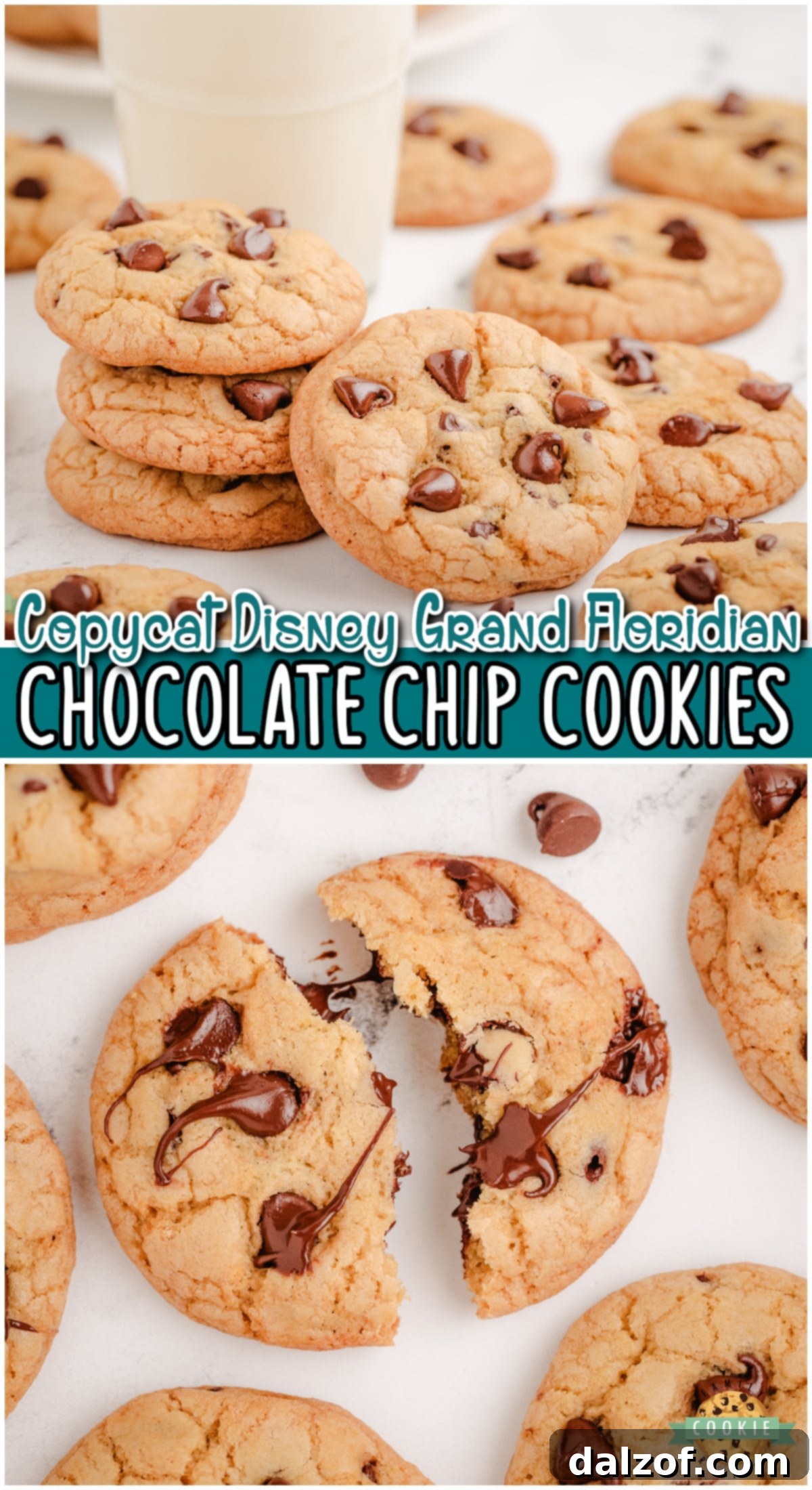 A vibrant close-up of Copycat Grand Floridian Hotel Chocolate Chip Cookies, perfect for pinning and sharing the recipe