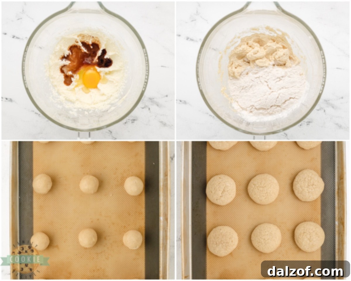 how to make copycat Nilla wafer cookies