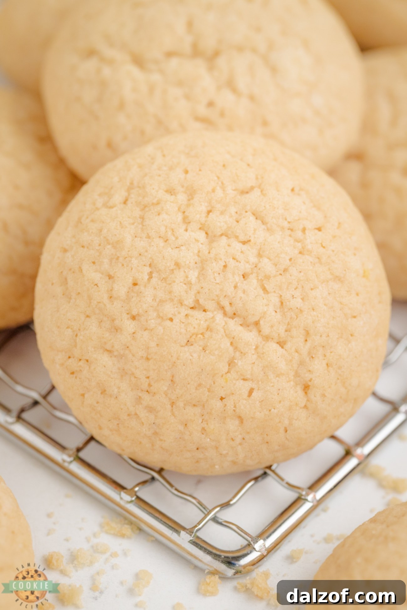 Homemade Nilla wafer cookie on a cooling rack