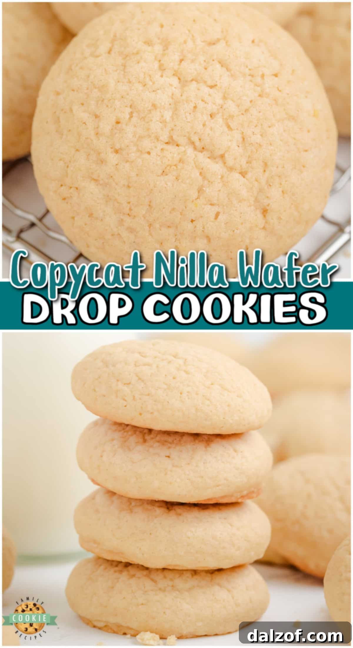 Copycat Nilla Wafer Cookies are a light & crispy vanilla cookie perfect for snacking, dipping, or using in your favorite dessert recipes! Make your own vanilla wafer cookies at home that taste amazing! 