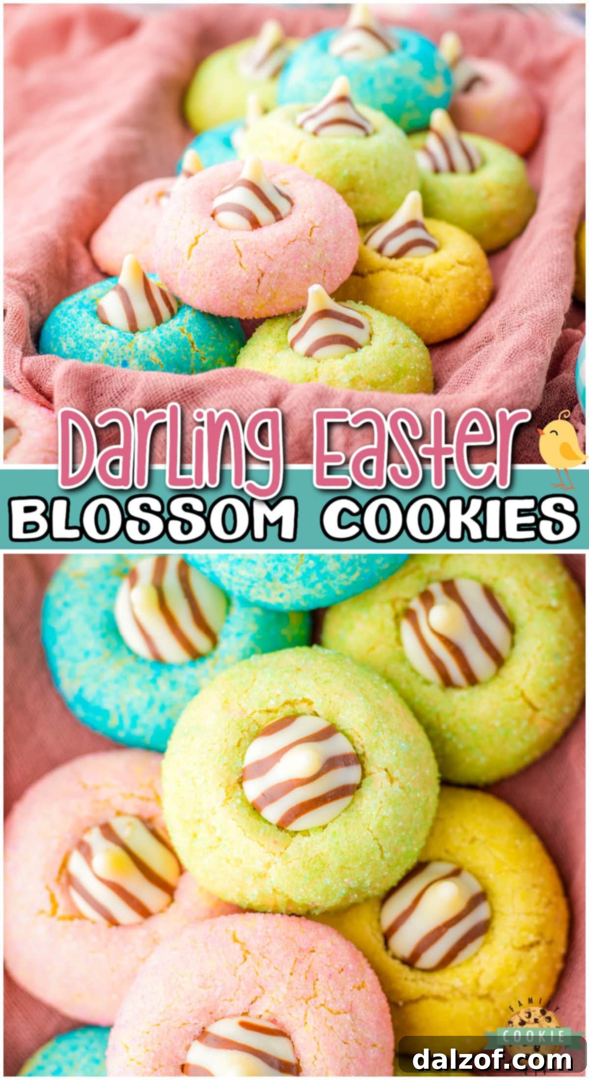 Easter Blossom Cookies are rolled in pastel sanding sugar before being baked and topped with a chocolate kiss. Lovely simple Easter cookies are a festive family favorite!