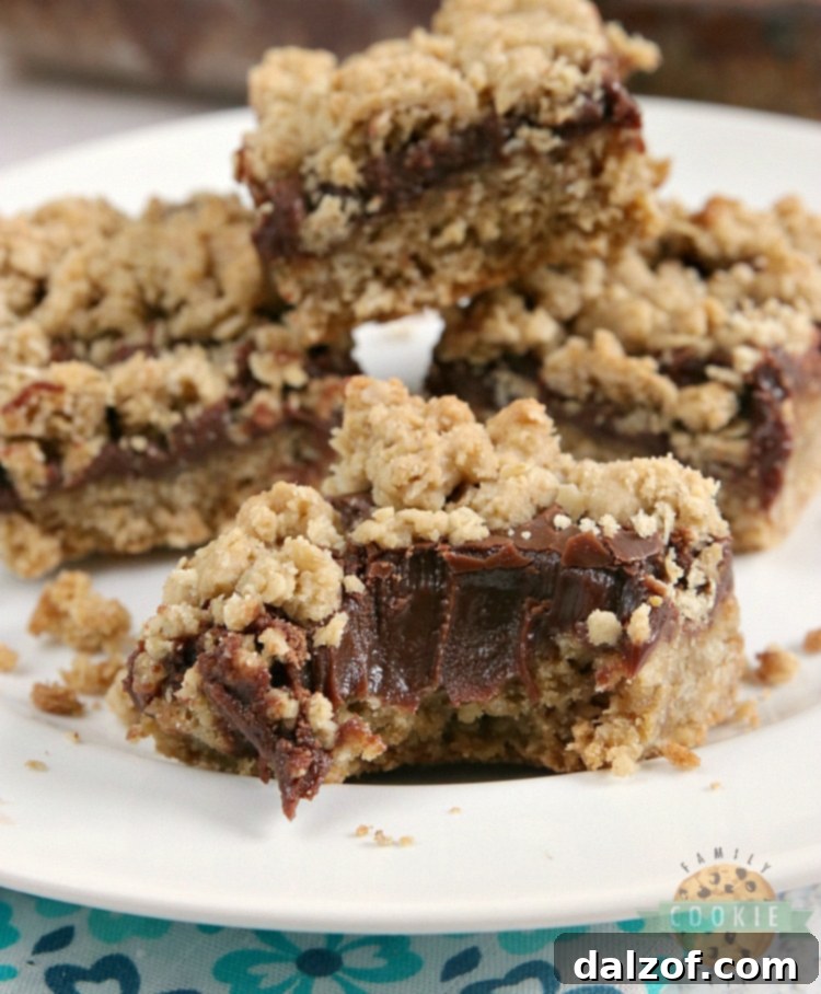 Delicious Fudgy Oatmeal Cookie Bars with thick chocolate ganache in the center, ready to be served.