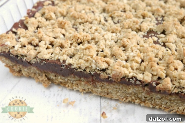 A tray of freshly baked Fudgy Oatmeal Cookie Bars cooling on a wire rack, with the top oatmeal cookie layer lightly browned.