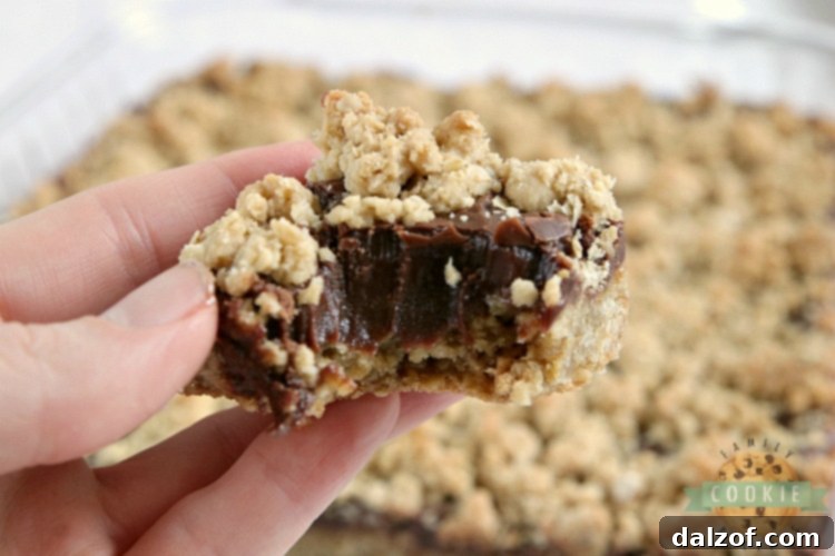 A serving of Fudgy Oatmeal Cookie Bars on a plate, showing the irresistible combination of oatmeal and chocolate.