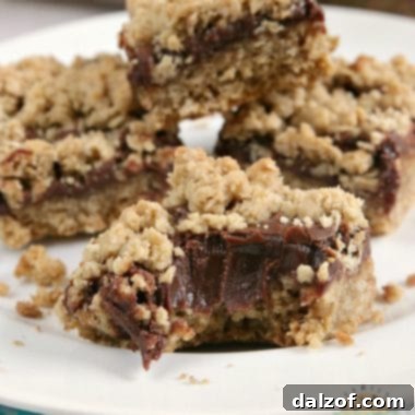 Fudgy Oatmeal Cookie Bars with thick chocolate ganache