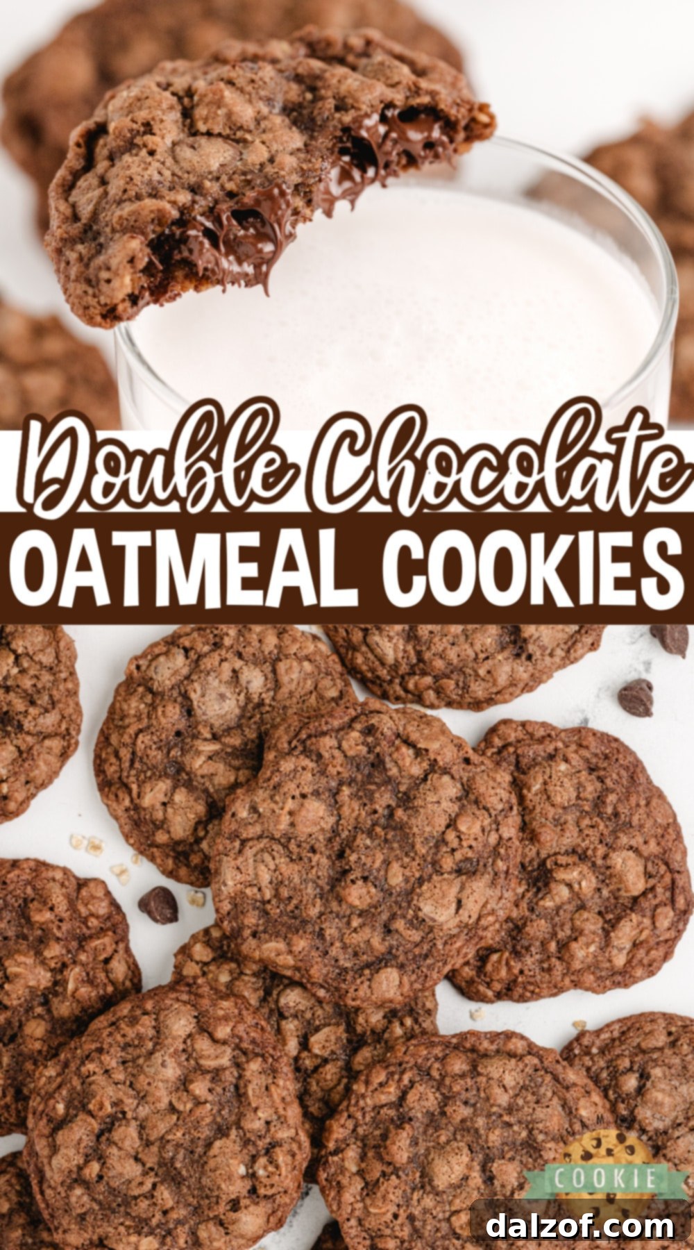 A beautifully arranged plate of Double Chocolate Oatmeal Cookies, showcasing their rich color and appealing texture.