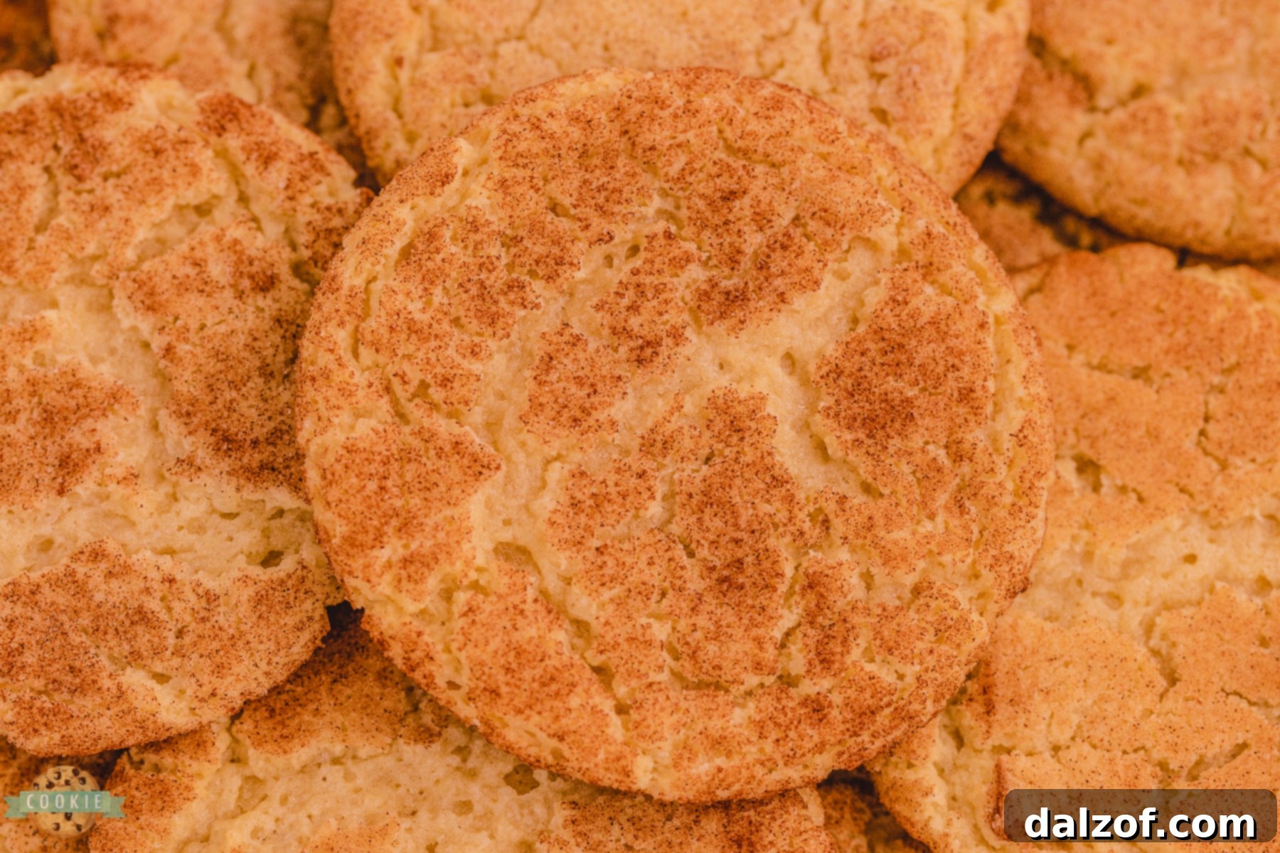 Chewy Snickerdoodle cookies, a timeless classic