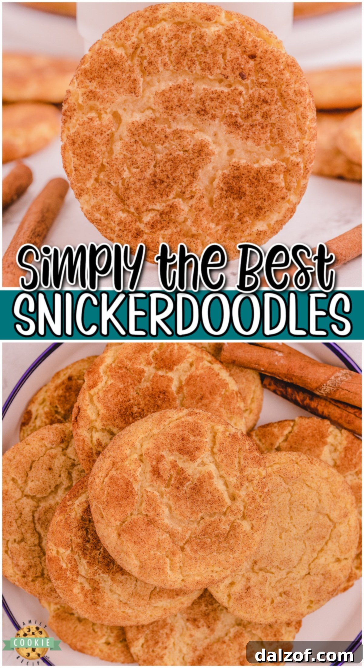 The Best Snickerdoodle Recipe for soft, chewy cinnamon sugar cookies. A perfect homemade treat everyone will love!
