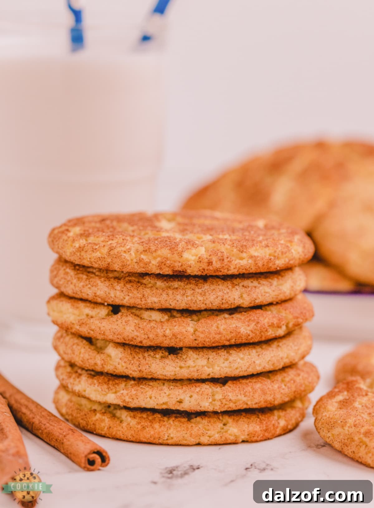 Perfectly stacked Snickerdoodle cookies, ready to be enjoyed
