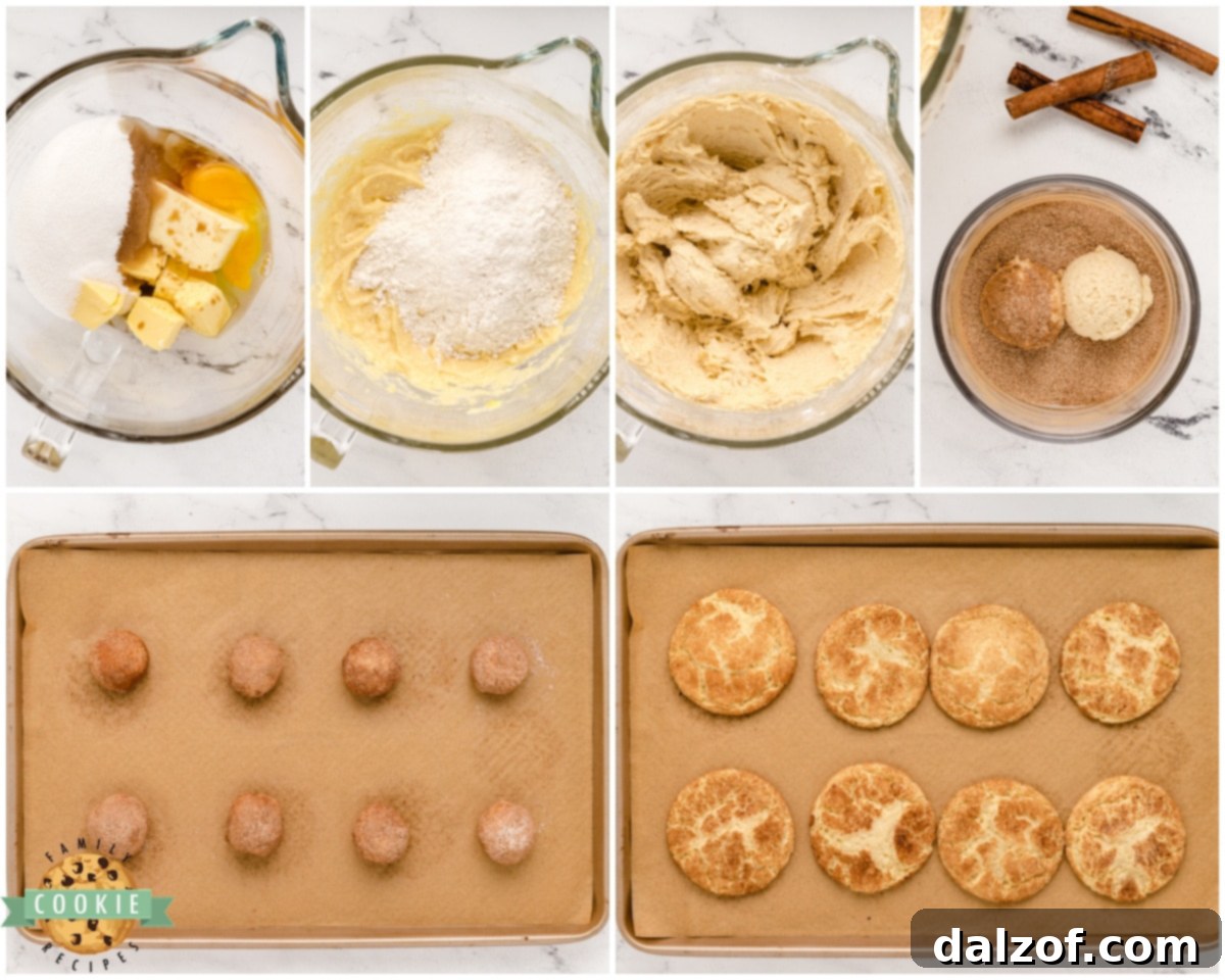 Step-by-step guide on how to make the best Snickerdoodle cookies