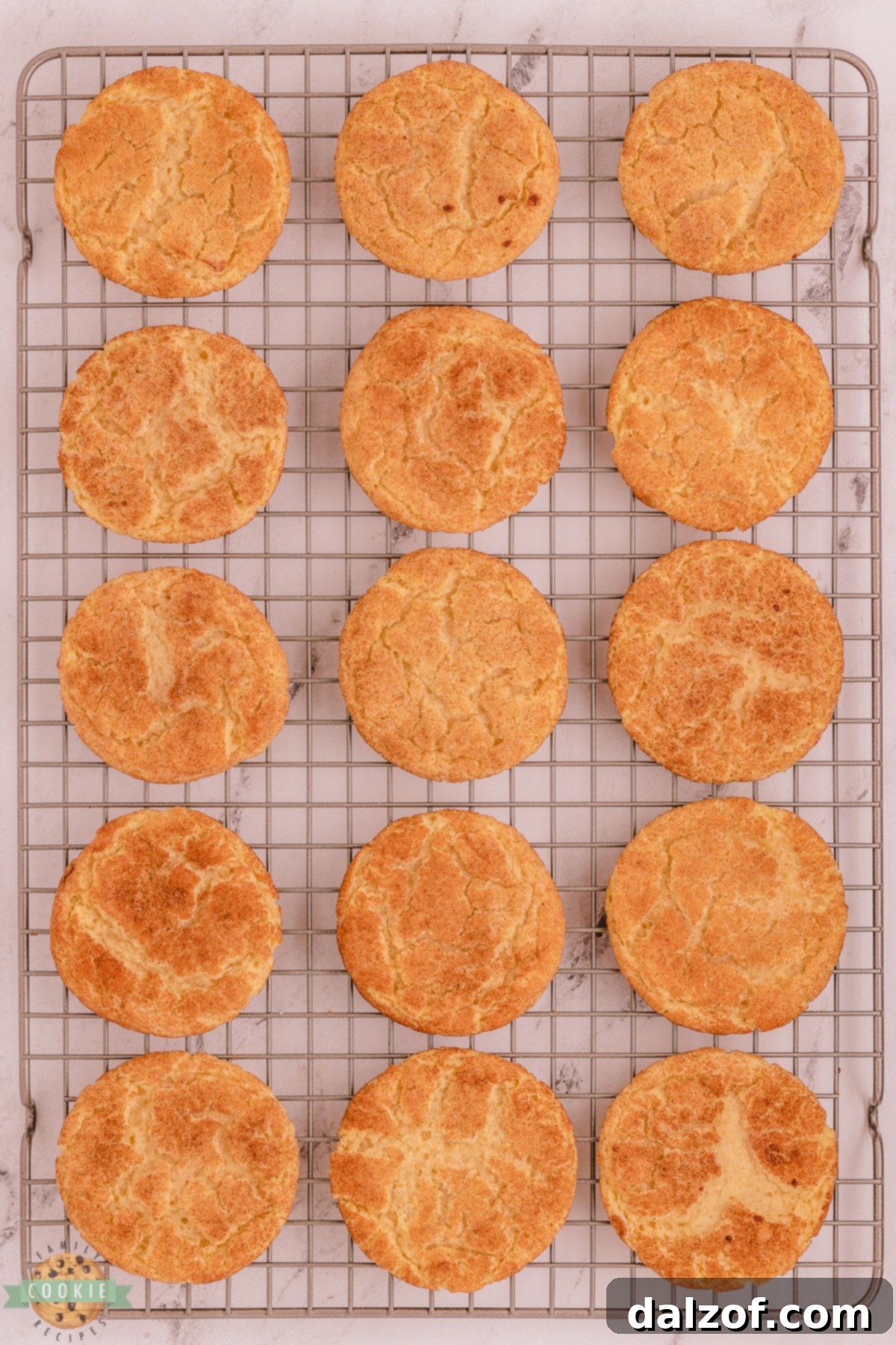 Freshly baked Snickerdoodle cookies cooling on a wire rack