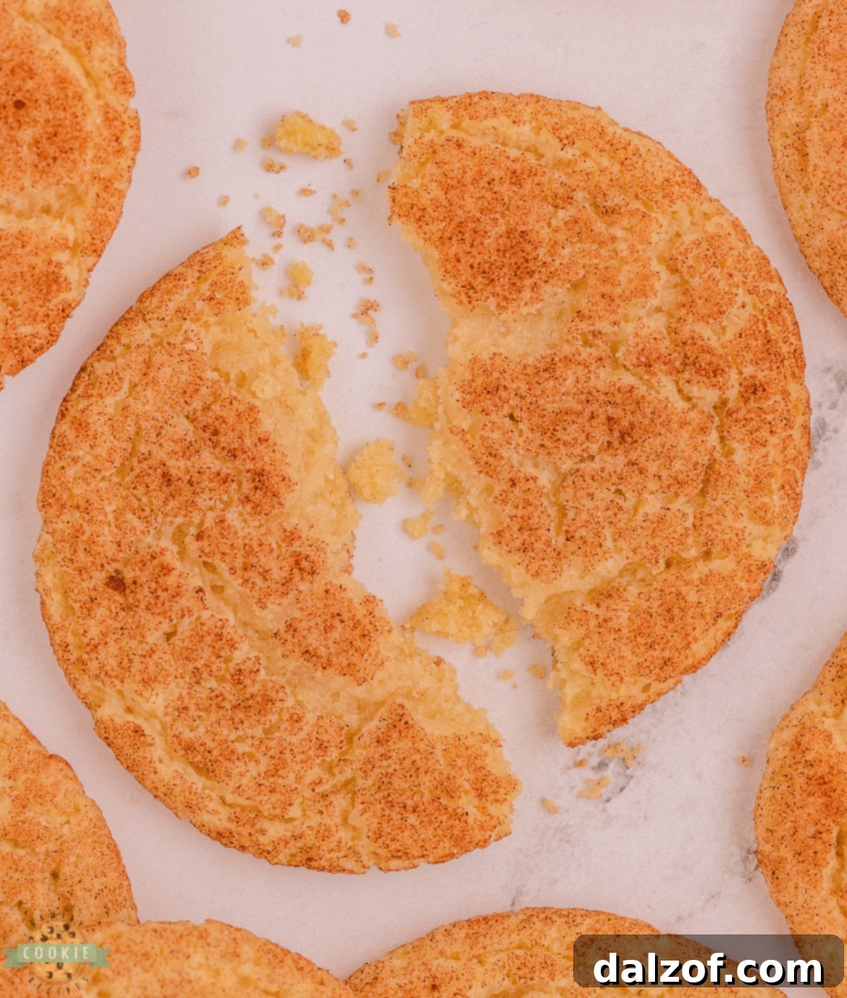 A perfectly baked Snickerdoodle cookie broken in half, showing its soft and chewy interior