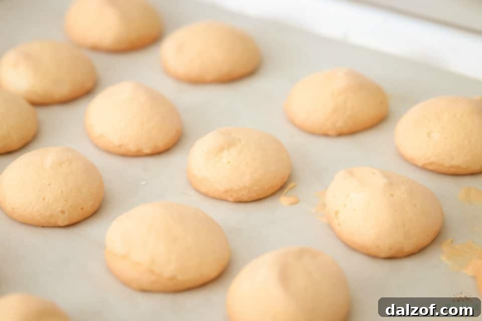 Easy Vanilla Meringue Cookies recipe ingredients