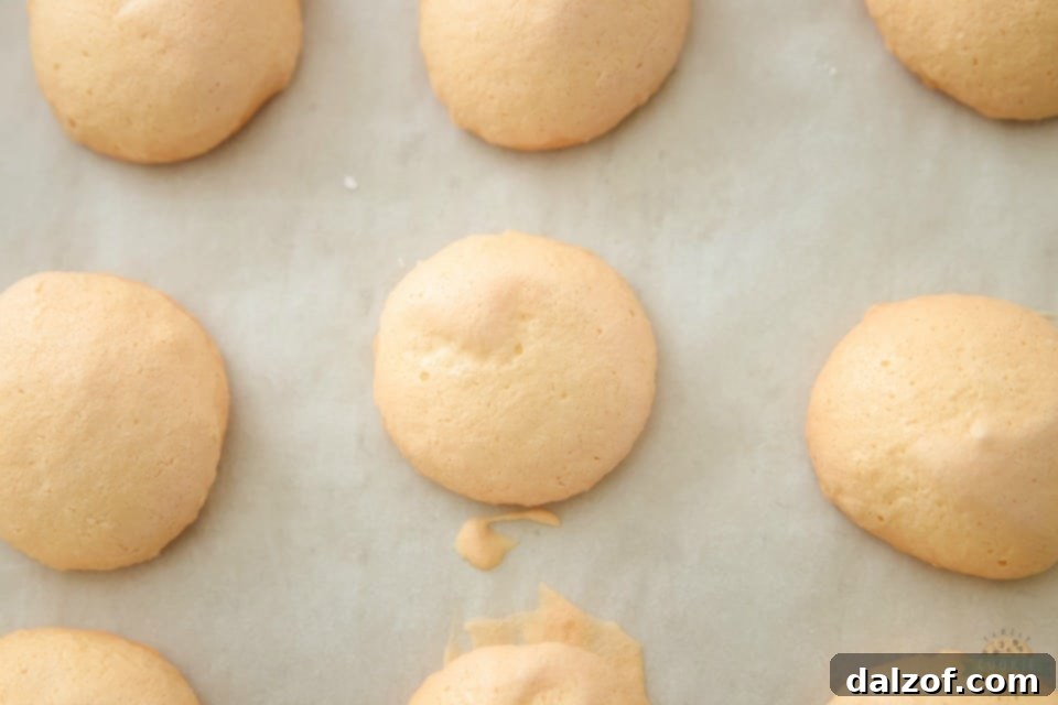How to make Vanilla Meringue Cookies step by step