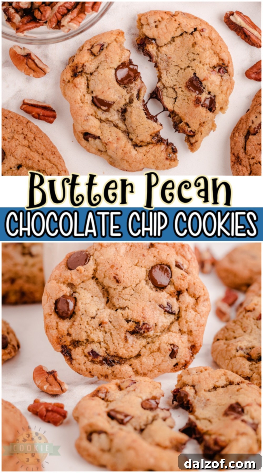 Pin image for Butter Pecan Chocolate Chip Cookies recipe featuring the finished cookies