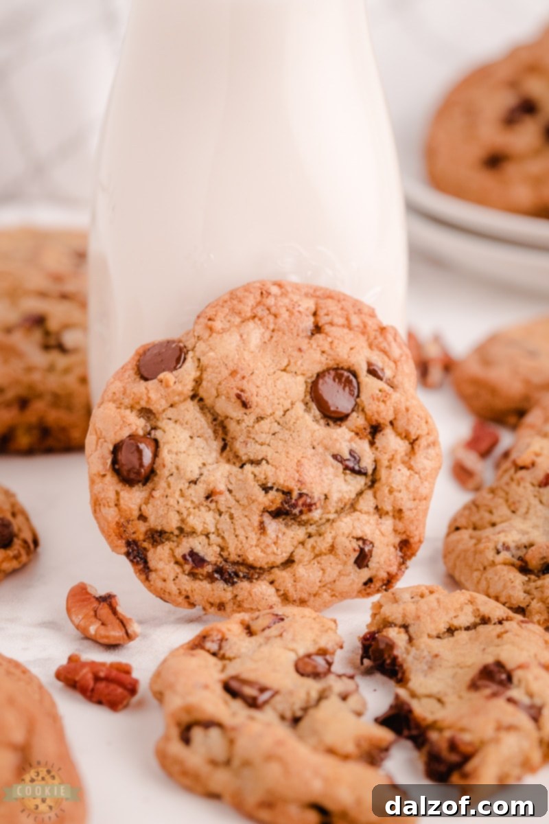 Prepared cookie dough with chocolate chips and toasted pecans