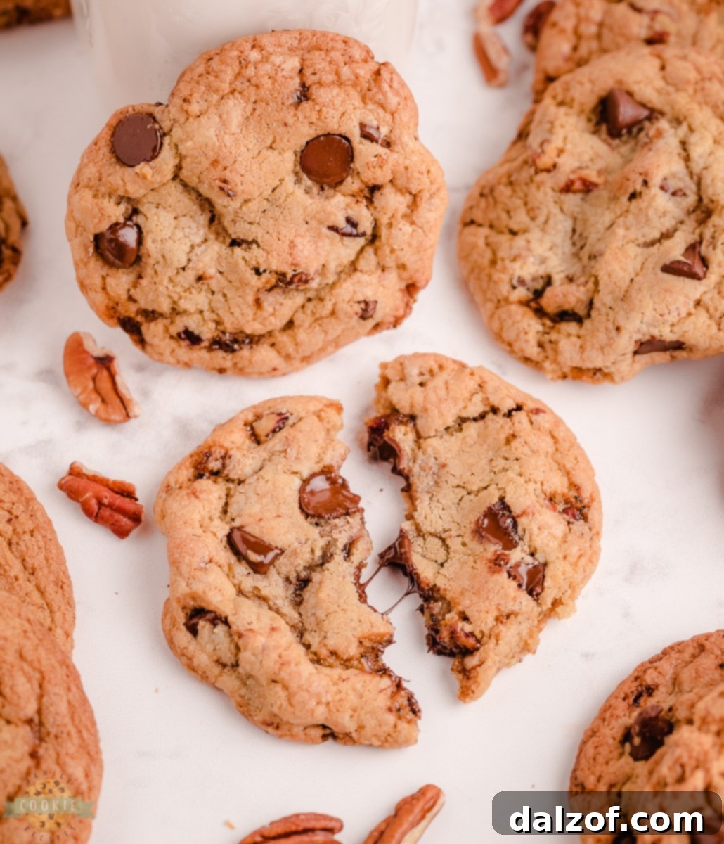 A batch of Butter Pecan Chocolate Chip Cookies freshly baked