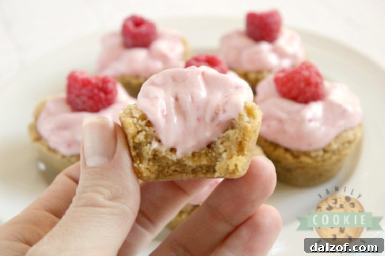 Close-up of a single Raspberry Cheesecake Cookie Cup, showing the creamy filling and graham cracker crust