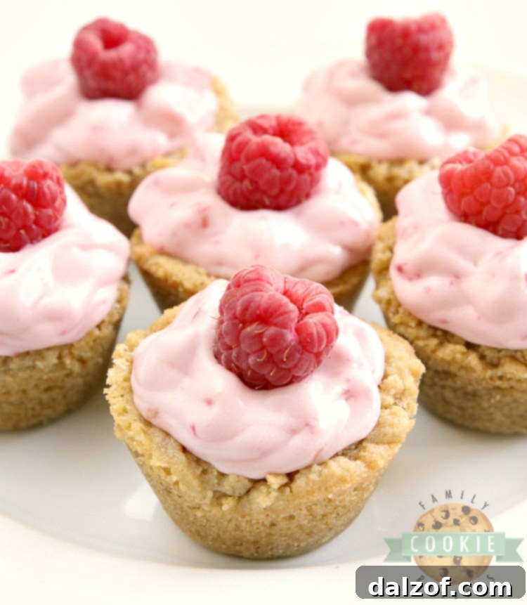 Close-up of freshly baked graham cracker cookie with raspberry cream cheese filling piped on top