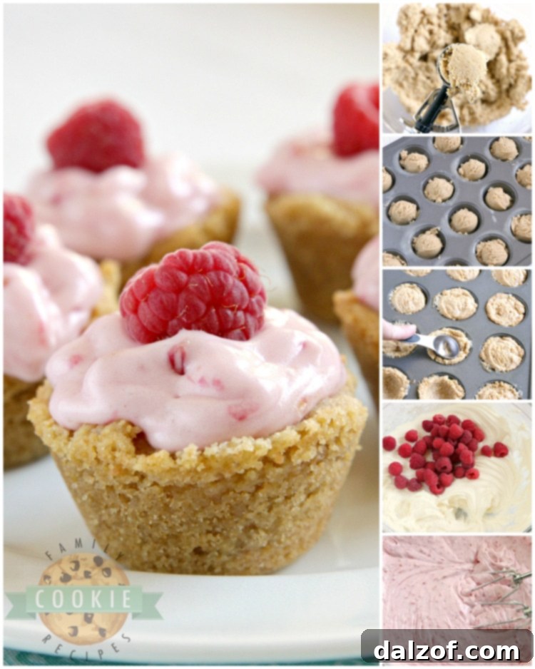 A tray full of Raspberry Cheesecake Cookie Cups garnished with fresh raspberries, ready to serve