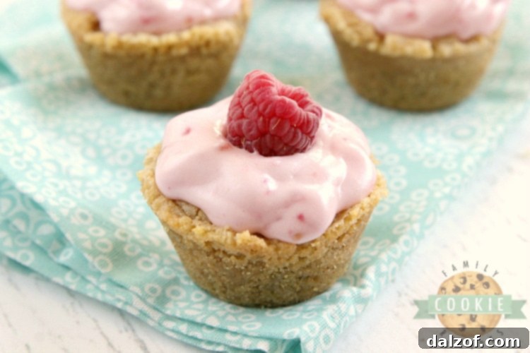 Side view of Raspberry Cheesecake Cookie Cups, showing the layers of crust and filling