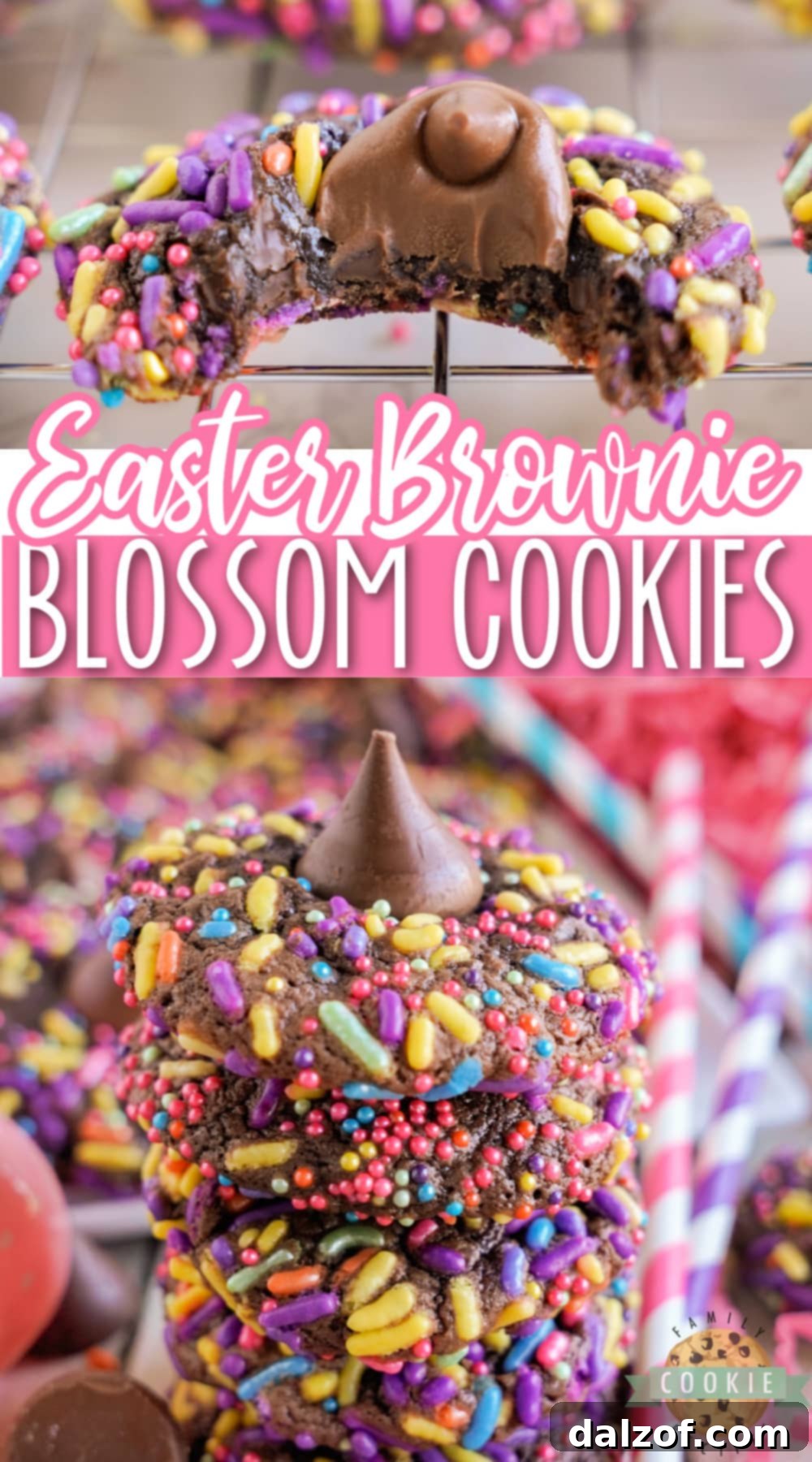 Easter Brownie Blossom Cookies are rolled in sprinkles before being baked and topped with a Hershey's Kiss. This simple brownie mix cookie recipe is perfect for spring! 