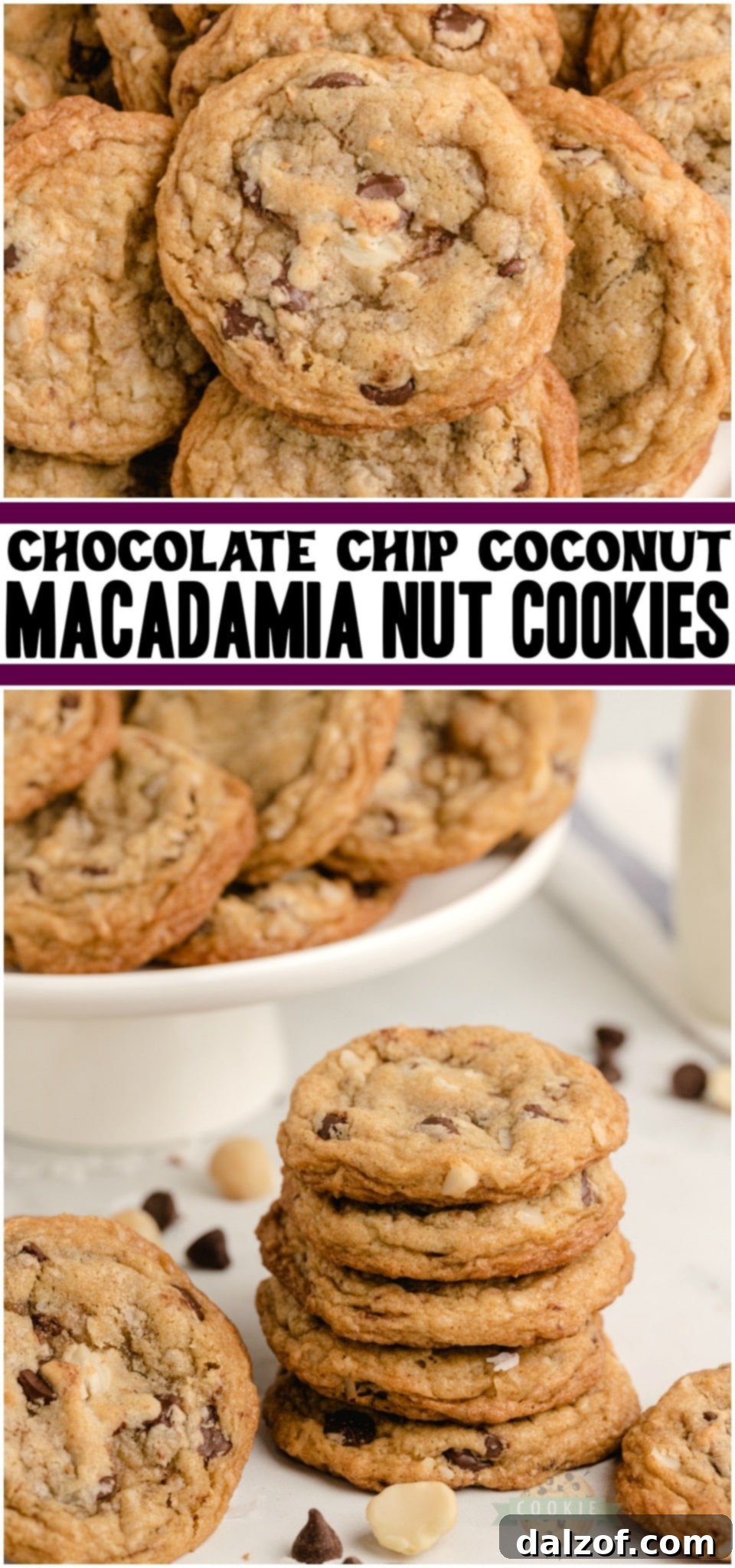 Chocolate chip macadamia nut cookies are soft & chewy cookies loaded with sweet chocolate and nuts! These Coconut Macadamia Nut Cookies are perfect for chocolate chip lovers who want to try something a bit different.