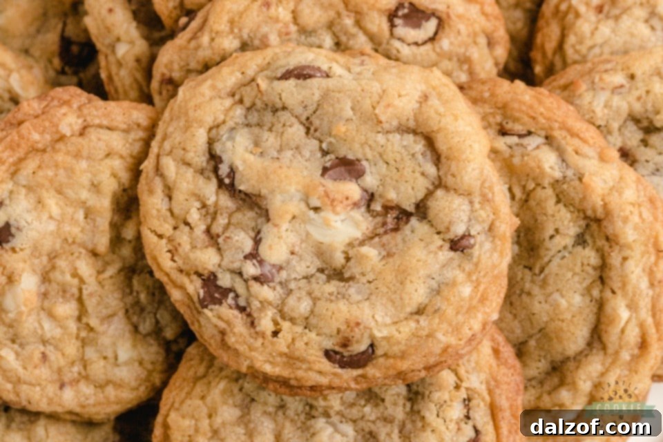 Chocolate chip macadamia nut cookies cooling on a wire rack, showing their golden brown color and chunky ingredients