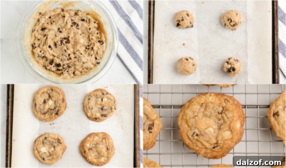 How to make Chocolate chip macadamia nut cookies - a collage showing cookies on a baking sheet and a close-up of a finished cookie