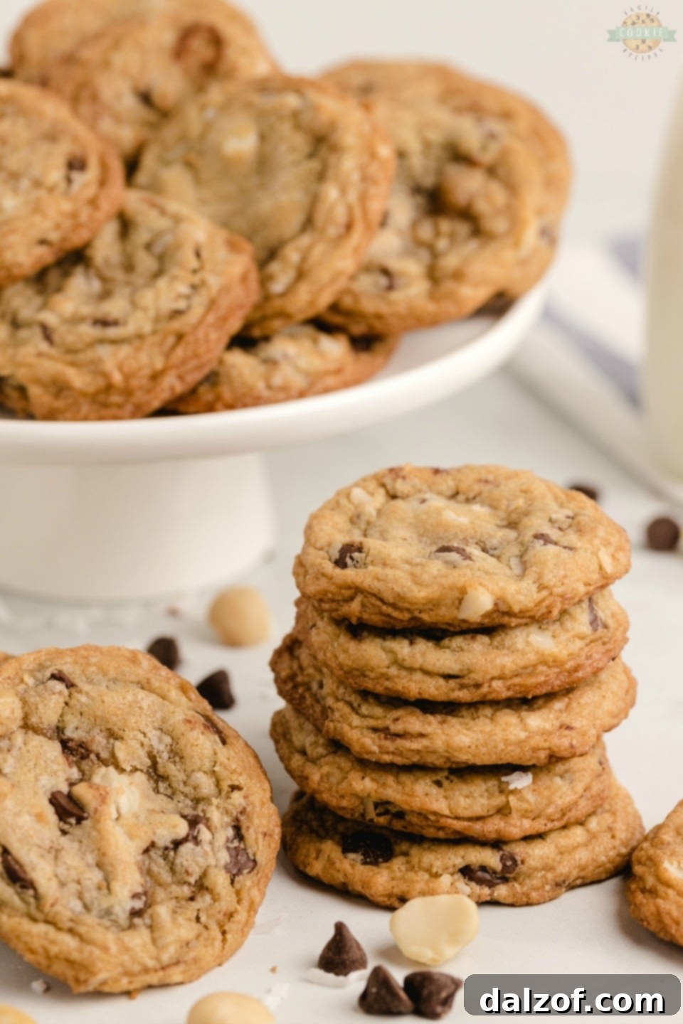 Chocolate chip macadamia nut cookies arranged beautifully on a plate, ready to be served