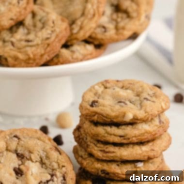 Chocolate chip macadamia nut cookies - A close-up of a stack of freshly baked cookies, highlighting their golden-brown edges and molten chocolate chips