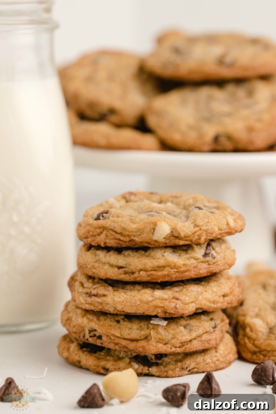 Chocolate chip macadamia nut cookies artistically arranged, showcasing their delicious texture and ingredients