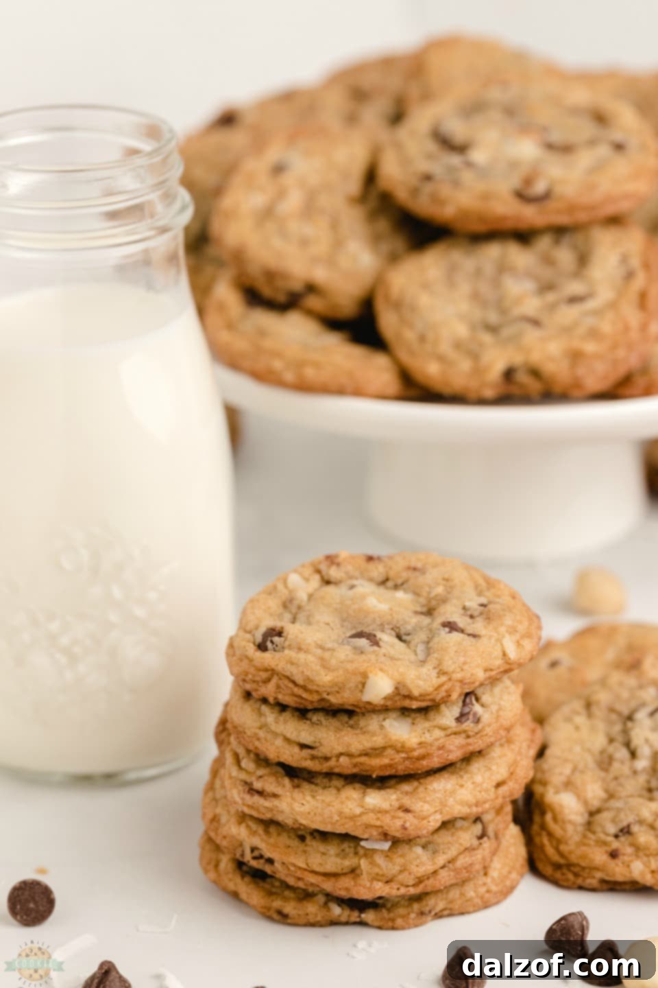 Chocolate chip macadamia nut cookies with a scattering of macadamia nuts and chocolate chips