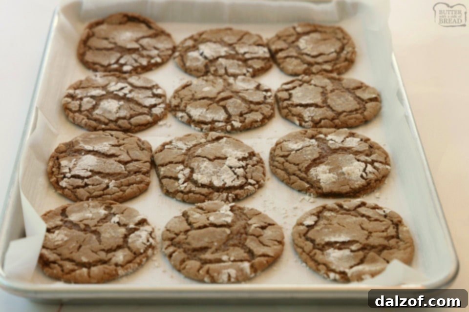Cinnamon Chocolate Crinkle Cookies recipe with a fudgy center and powdered sugar coating.