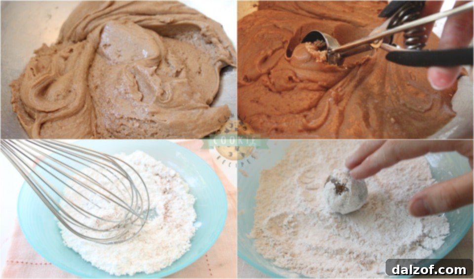 How to make Cinnamon Chocolate Crinkle Cookies step by step process.