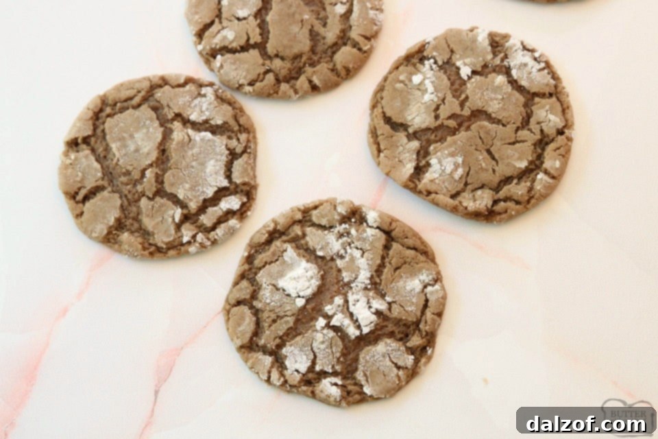 How to make Cinnamon Chocolate Crinkle Cookies with melted chocolate for rich flavor.