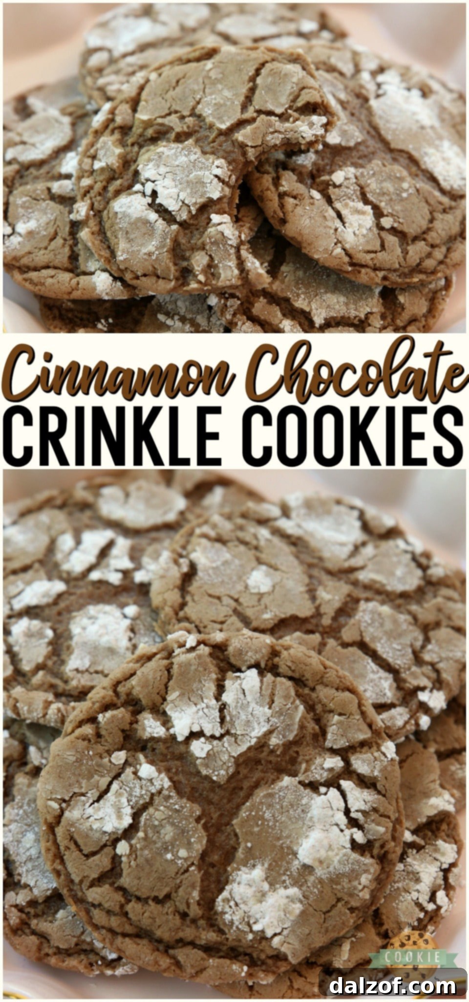 Cinnamon Chocolate Crinkle Cookies taste like Mexican hot chocolate and are amazing! Soft & chewy cookies with a fantastic chocolate taste with a hint of cinnamon.