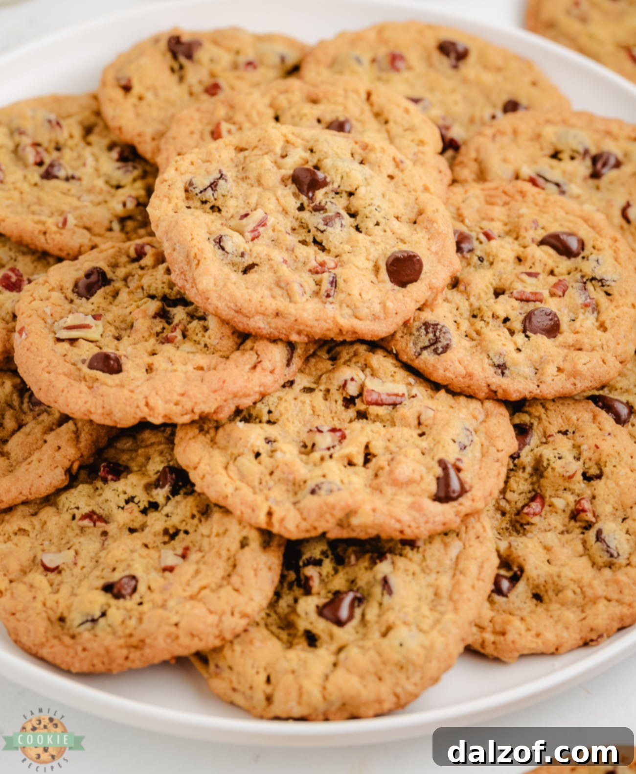 Plateful of delicious 10-cup cookies, loaded with chocolate chips, pecans, and oats