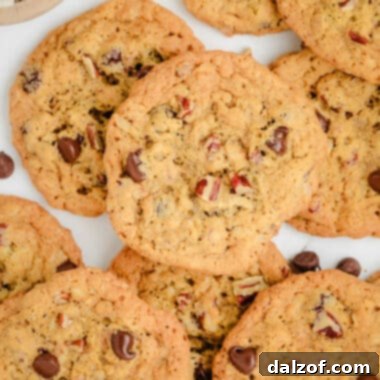 10-cup cookies with peanut butter, oats, coconut, pecans and chocolate chips