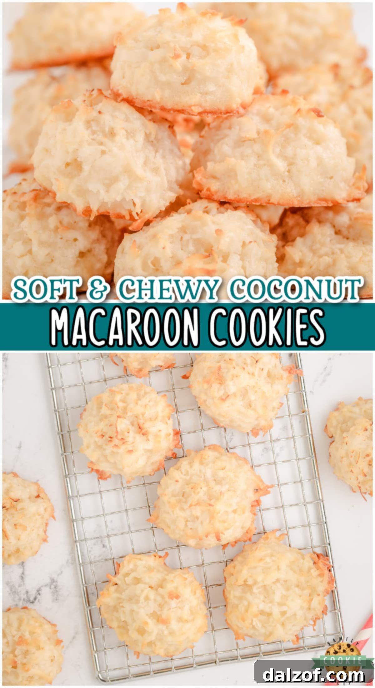 A vibrant and appealing photograph of Soft & Chewy Coconut Macaroon Cookies, perfect for inspiring home bakers.